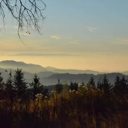 Escape In Apartment *