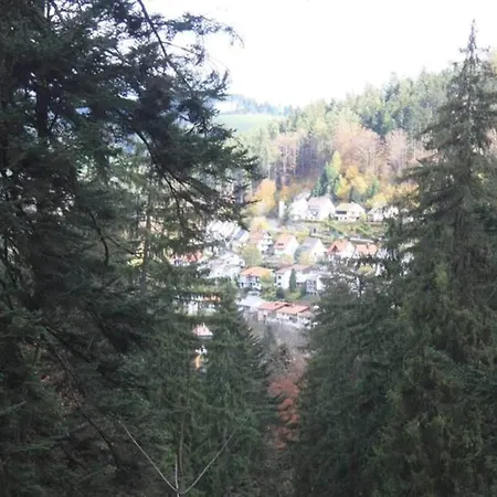 Comfortable In A Beautiful Location Апартаменты Hofstetten (Baden-Wurttemberg)