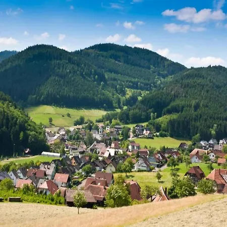 Comfortable In A Beautiful Location Апартаменты Hofstetten (Baden-Wurttemberg)