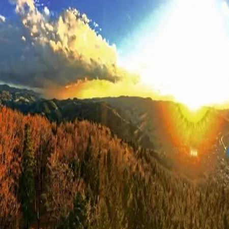 Apartment Escape In Hofstetten (Baden-Wurttemberg)