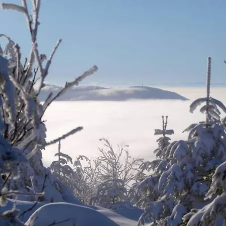 Apartment Escape In *