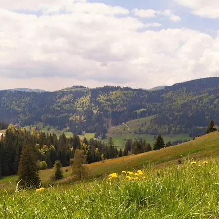 Апартаменты Comfortable In A Beautiful Location Hofstetten (Baden-Wurttemberg)