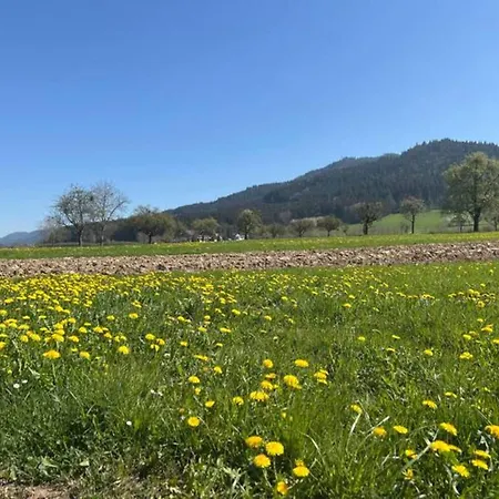 Comfortable In A Beautiful Location Hofstetten (Baden-Wurttemberg)
